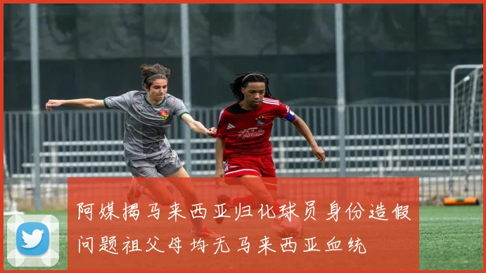 阿媒揭马来西亚归化球员身份造假问题祖父母均无马来西亚血统