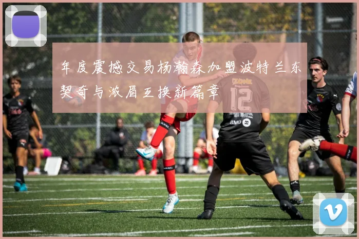 年度震撼交易杨瀚森加盟波特兰东契奇与浓眉互换新篇章