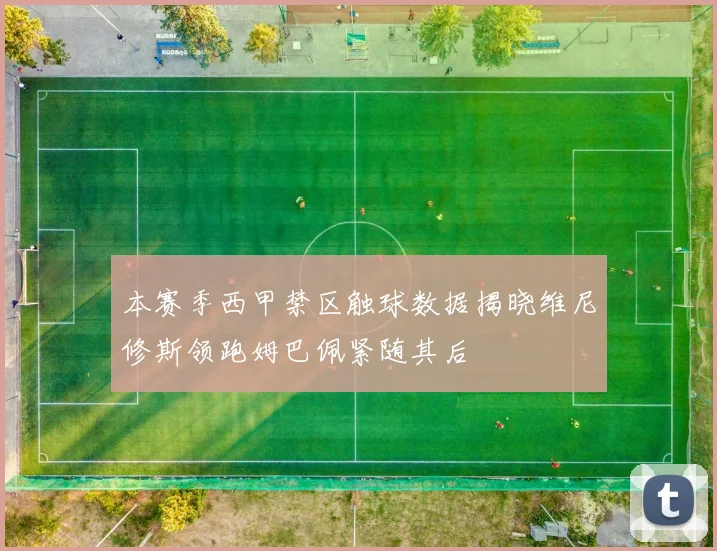 本赛季西甲禁区触球数据揭晓维尼修斯领跑姆巴佩紧随其后