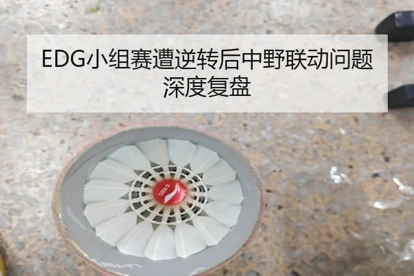 EDG小组赛遭逆转后中野联动问题深度复盘